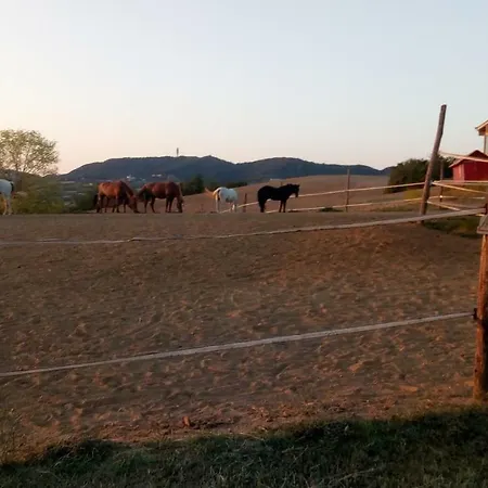 Soggiorno In Un Castello Διαμέρισμα
